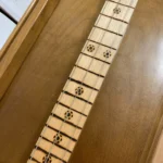 Close-up view of neck and fretboard of Montecristo cbg by Bob's 3 Stringers