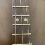 Close-up of the neck: fretboard, Burned in side fret markers, and inlay fret markers - all part of the Fat Bottom Betty CBG by Bob's 3 Stringers.
