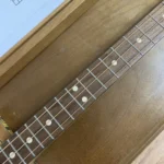 Close-up view of neck and fretboard of Punch cbg by Bob's 3 Stringers