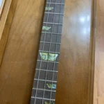 Close-up view of neck and fretboard of Craft/Stripped cbg by Bob's 3 Stringers