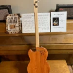 back, vertical view of 2 Solid Body Guitar