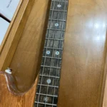 The image shows the neck and part of the body of a guitar with a stained oak fretboard and string separator, Roberts screw fret markers, brass tack side markers, and a jumbo fret nut.