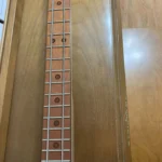 Close-up view of neck and fretboard of 60 Kit Build by Bob's 3 Stringers